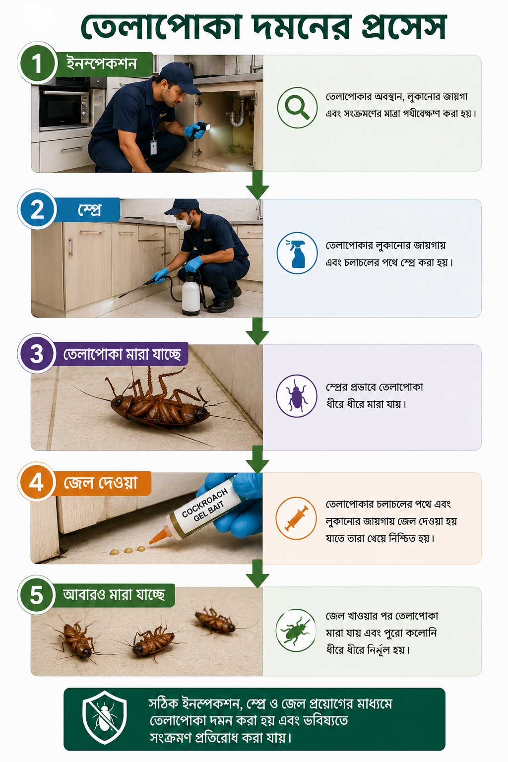 Cockroach Control Process
