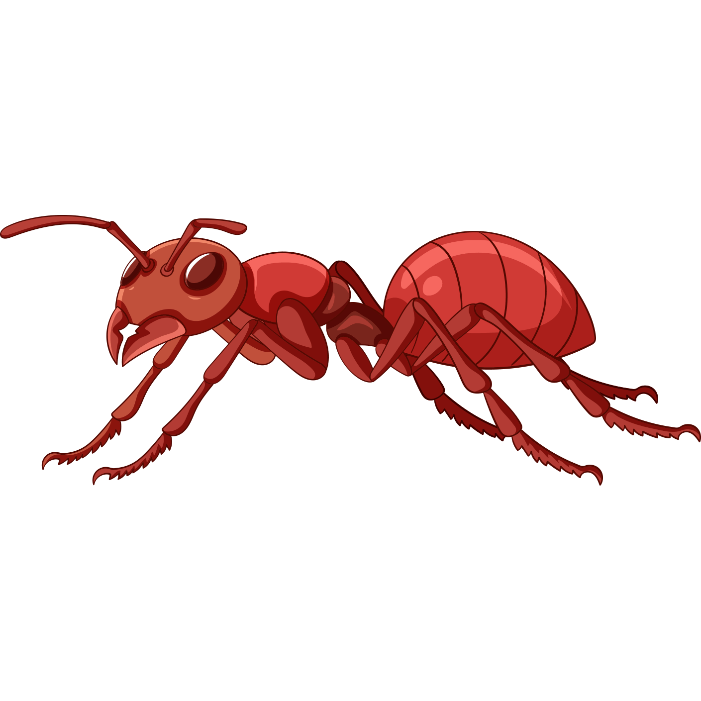 Professional ant Control Service in Chattogram