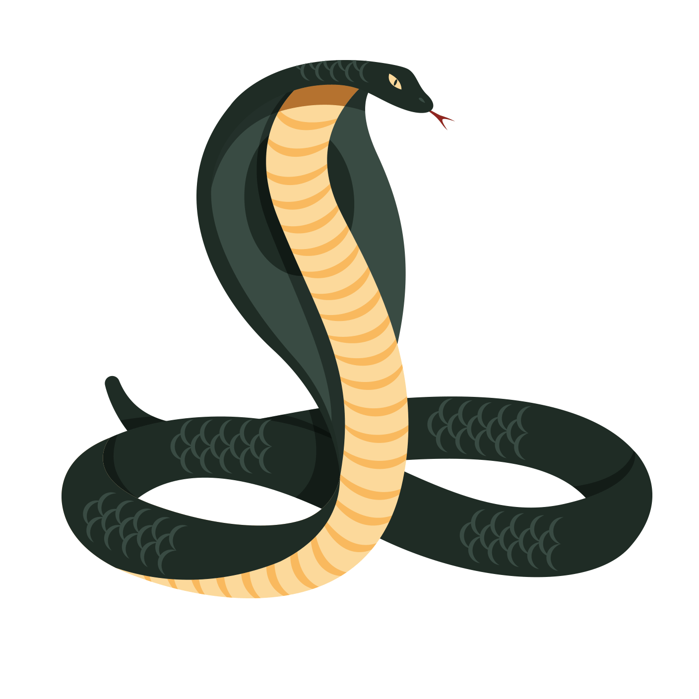 Professional snake Control Service in Chattogram