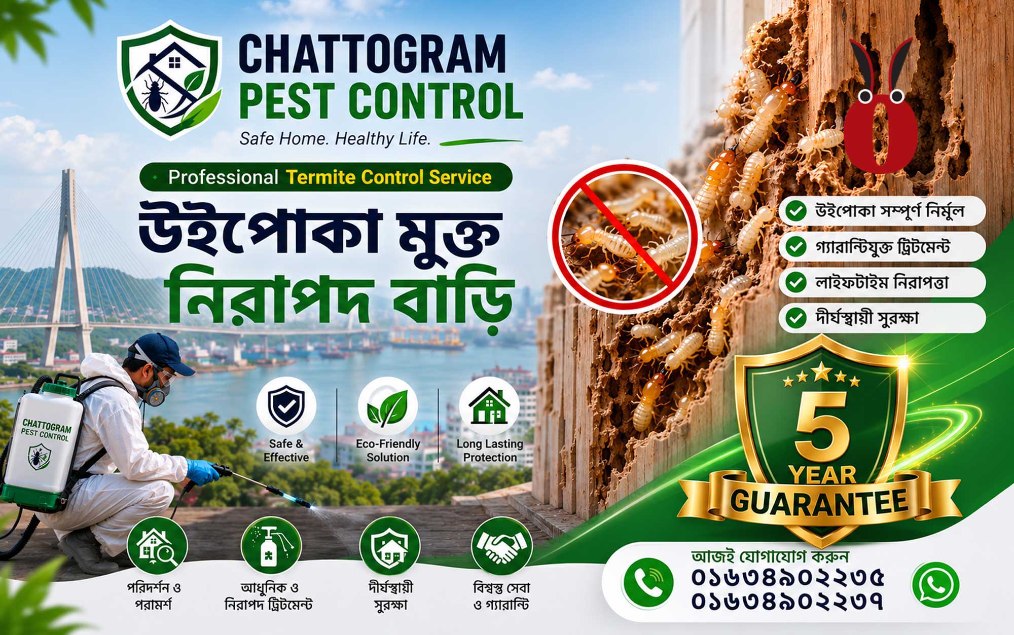 Professional Termite Control Service in Chattogram