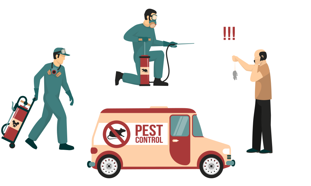 Chattogram Pest Control