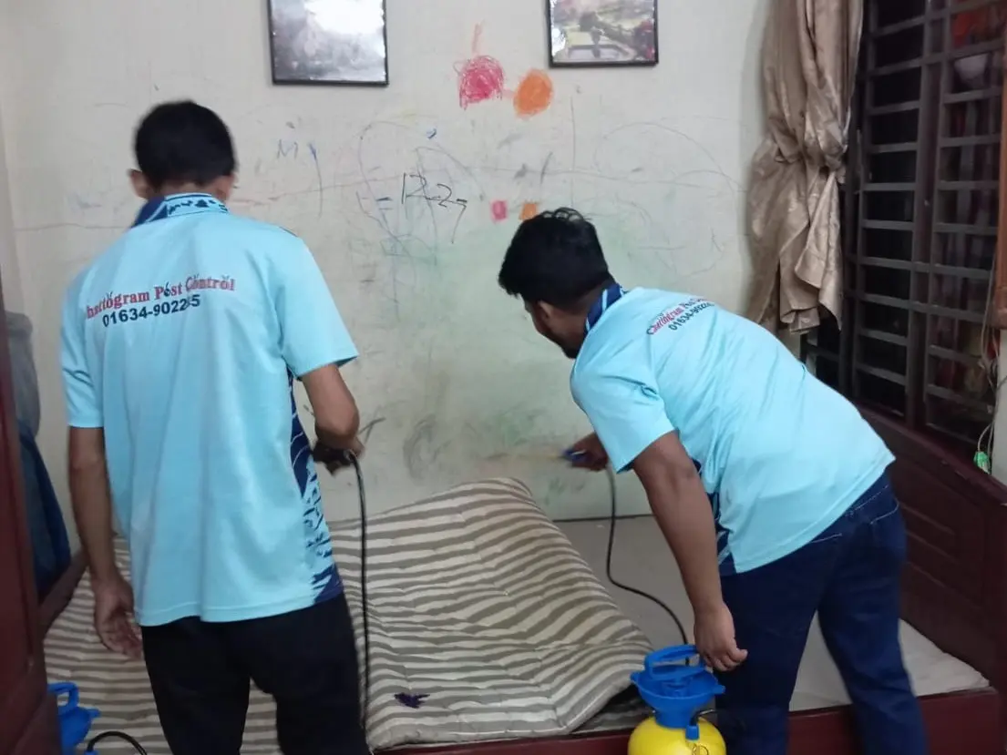 Bed Bug Control Service aal falaha goli, Chattogram