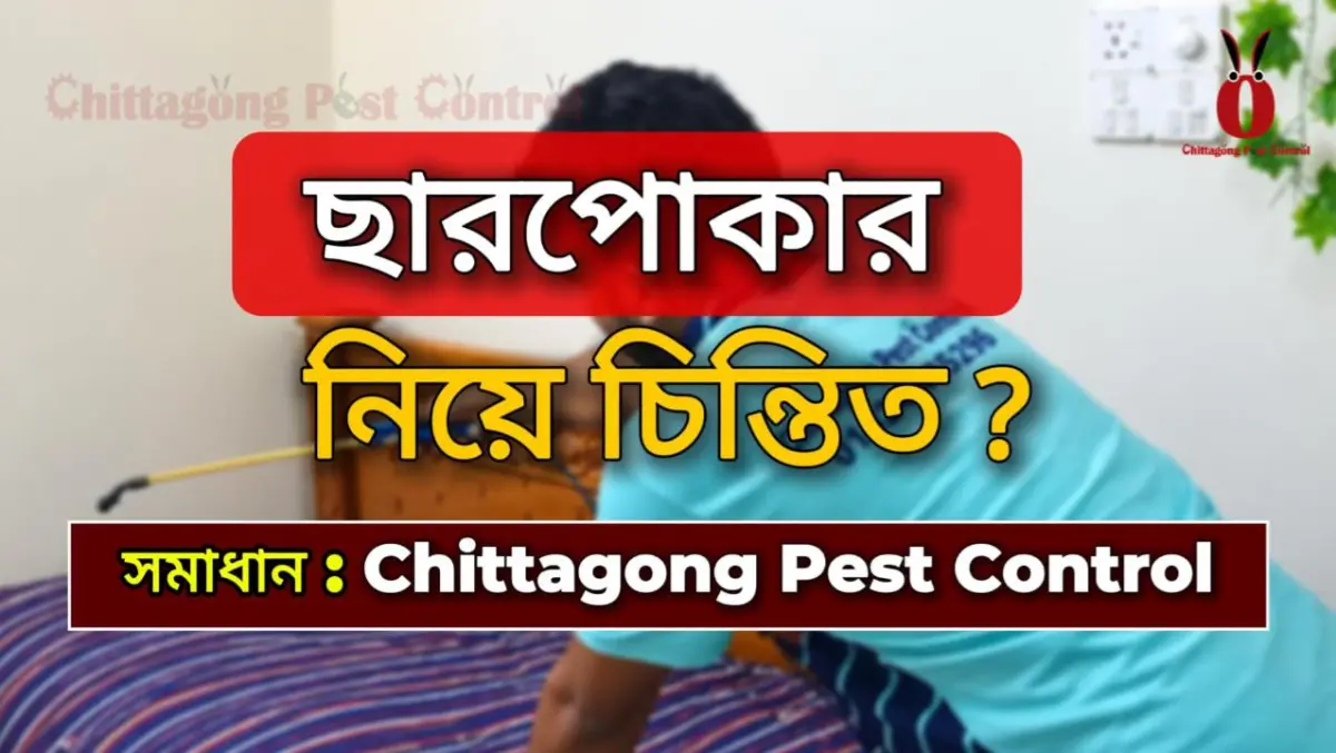 Bed Bug Control service at Amirbag, Chattogram