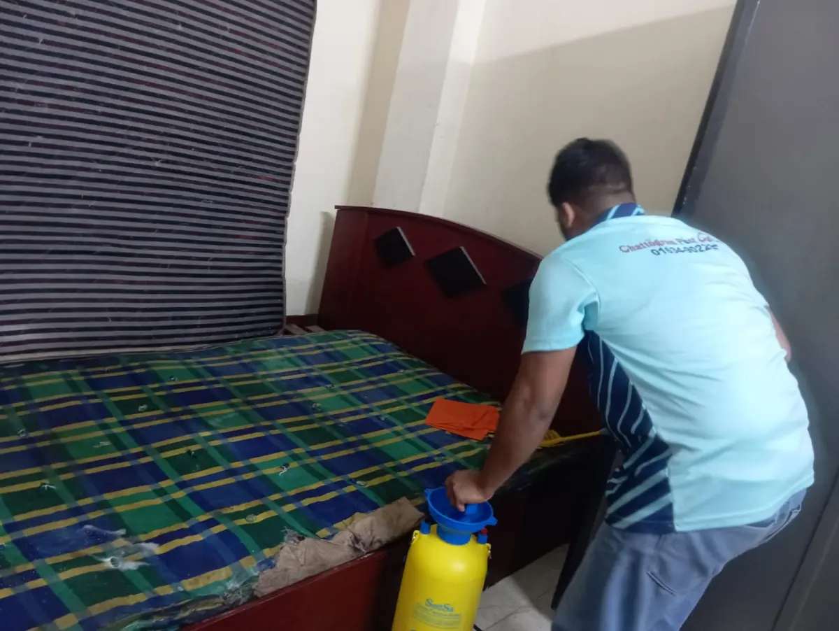 Bed bug control service at Bata Goli, GEC, Chattogram.