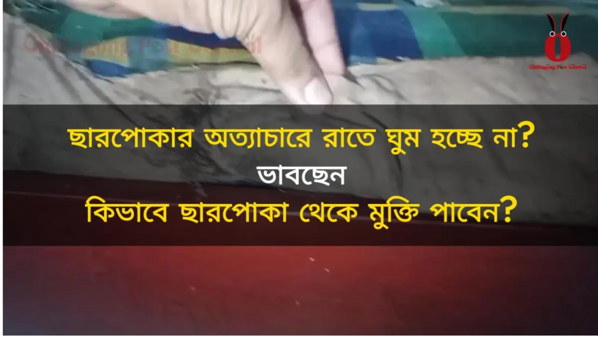 Bed Bug Control service at pahartali, boubazar, Chattogram