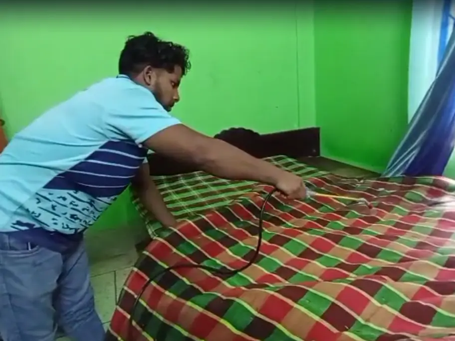 Bedbug control service at mog pukur par agrabad, chattogram