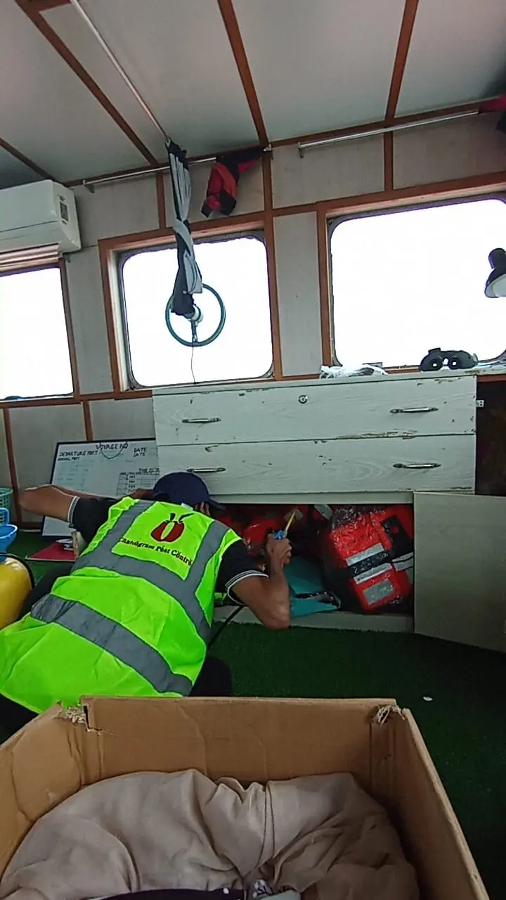 কার্গো ভেসেল ফিউমিগেশন (Cargo Vessel Fumigation)