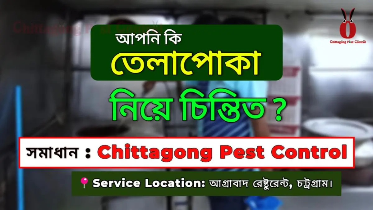 Cockroach Control Service at Agrabad Restaurant, Chattogram