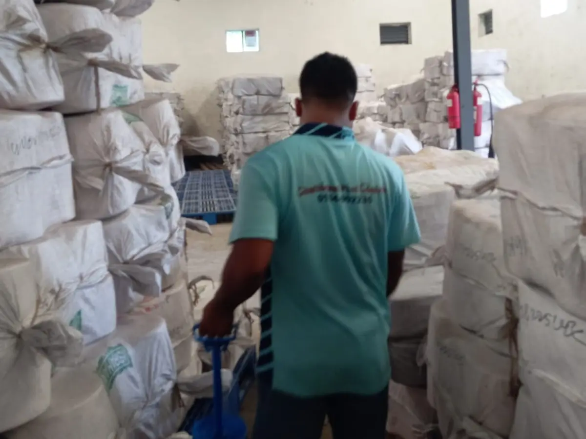 General Pest contorl Service at Ispahani Textile LTD, Pahartali, Chattogram