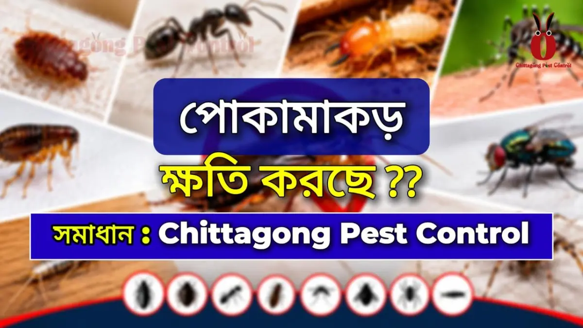General Pest control service at Ispahani Textile Pahartali, Chattogram