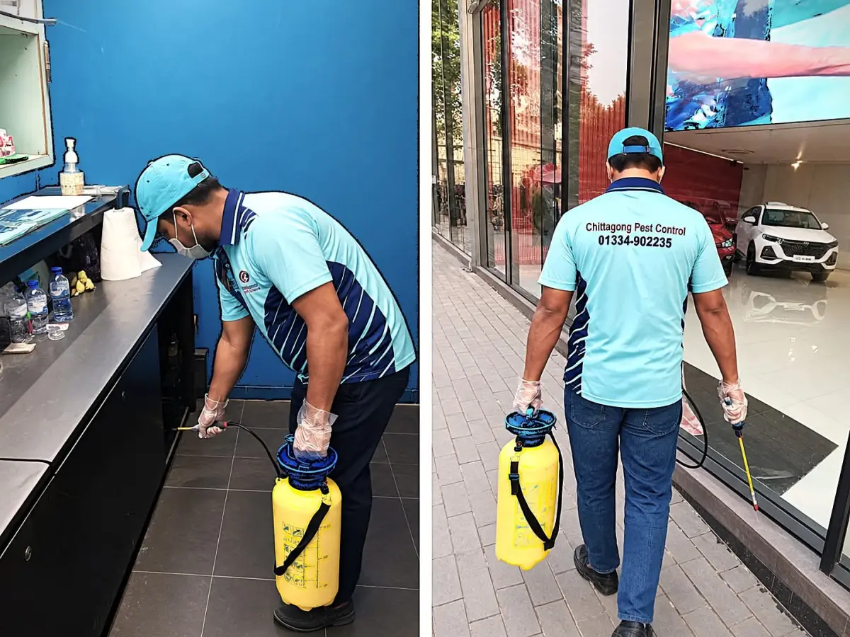 General Pest Control Service at Rankon, Car show Room, Chattogram 