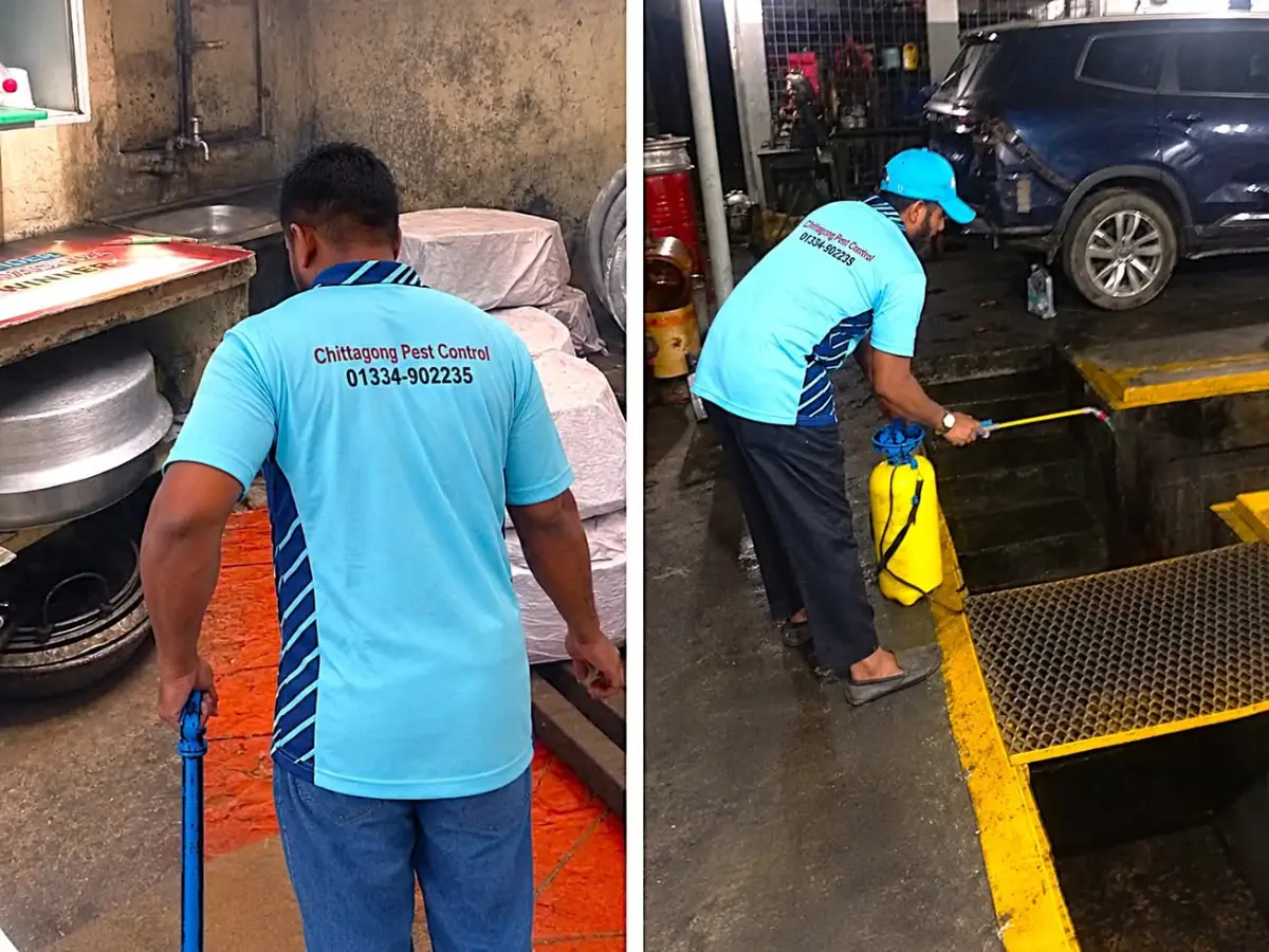 General Pest Control Service at Rankon Car showroom, GEC, Chattogram 