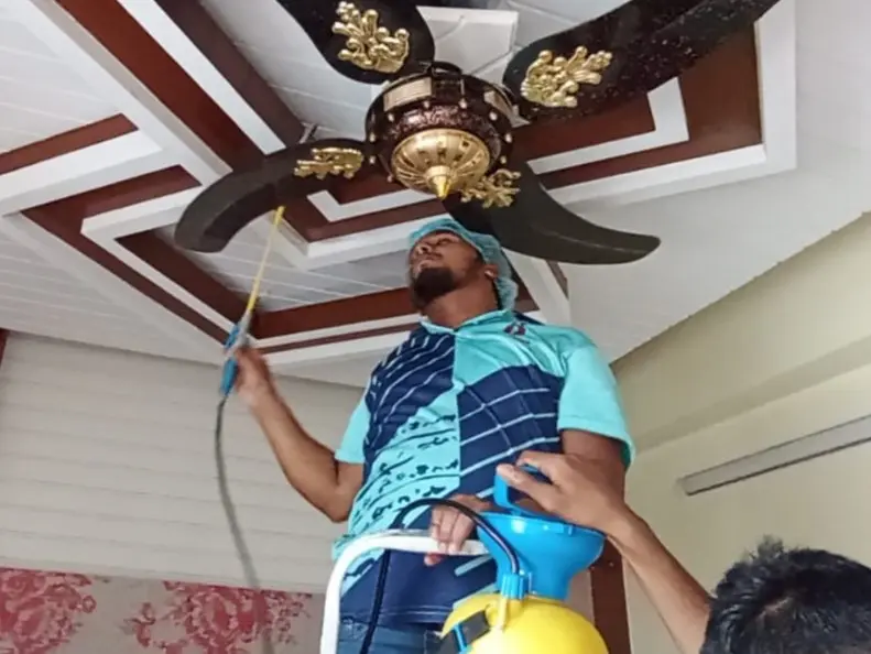 Home Termite Control Service at Andorkilla, Chattogram.