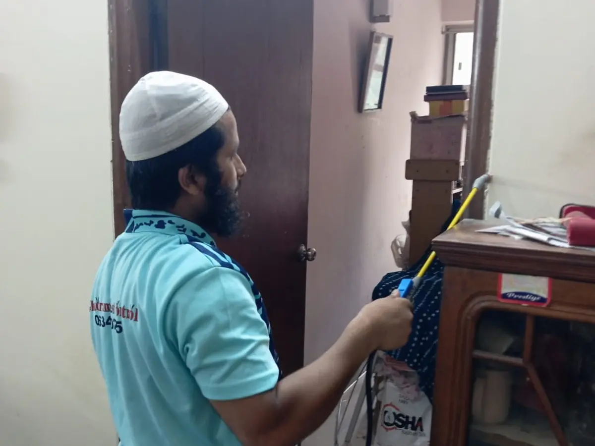 Home Termite Control Service at deb pahar, chattogram
