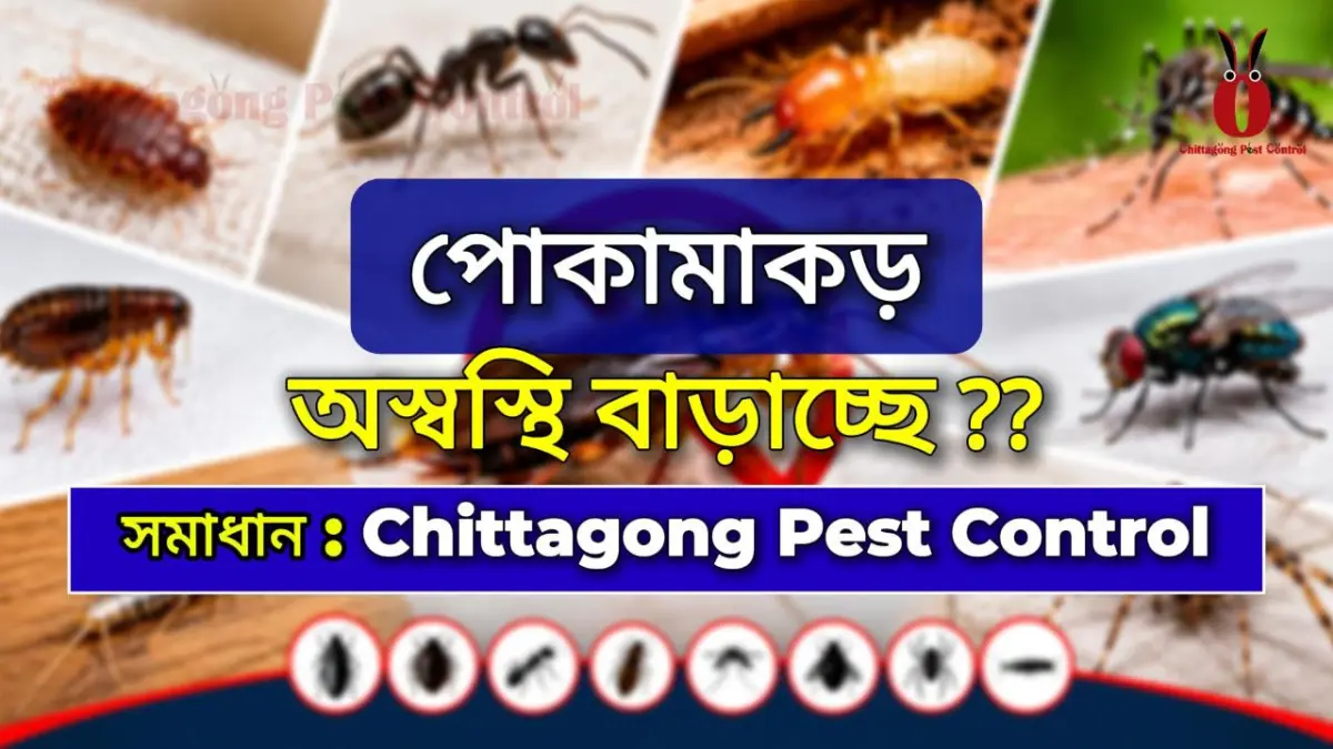 Outdoor pest control service at Chittagong University, chattogram