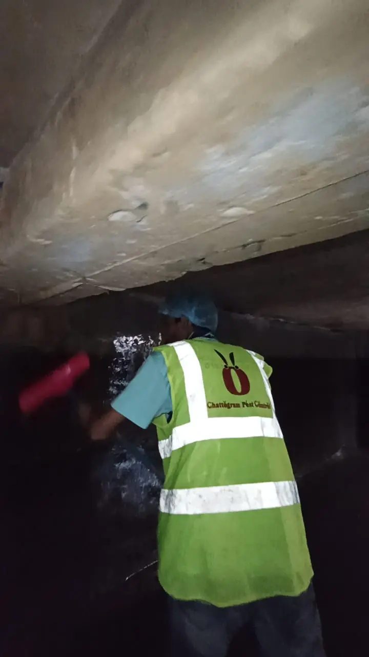 Overhead Water Tank Cleaning in Chattogram | চট্টগ্রামে পানির ট্যাংক পরিষ্কার