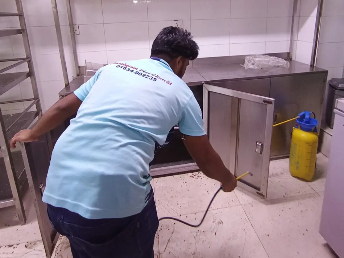 Pest control service at Ember Bloom Restaurant, Chittagong