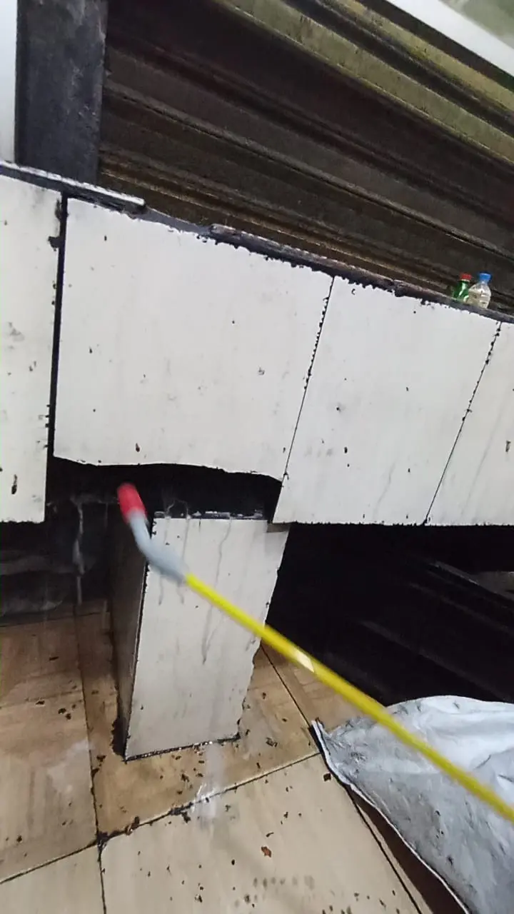 Pest Control Service at Sakura Kabab, Kajir Dewri.