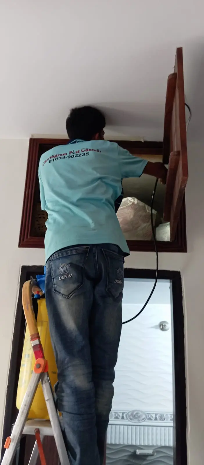 হালিশহরে এই উইপোকা নিয়ন্ত্রণের কাজ (Pest control at Halishahar)