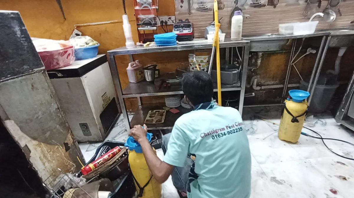 R.J. Restaurant Pest Control Service at Halishahar, Chattogram