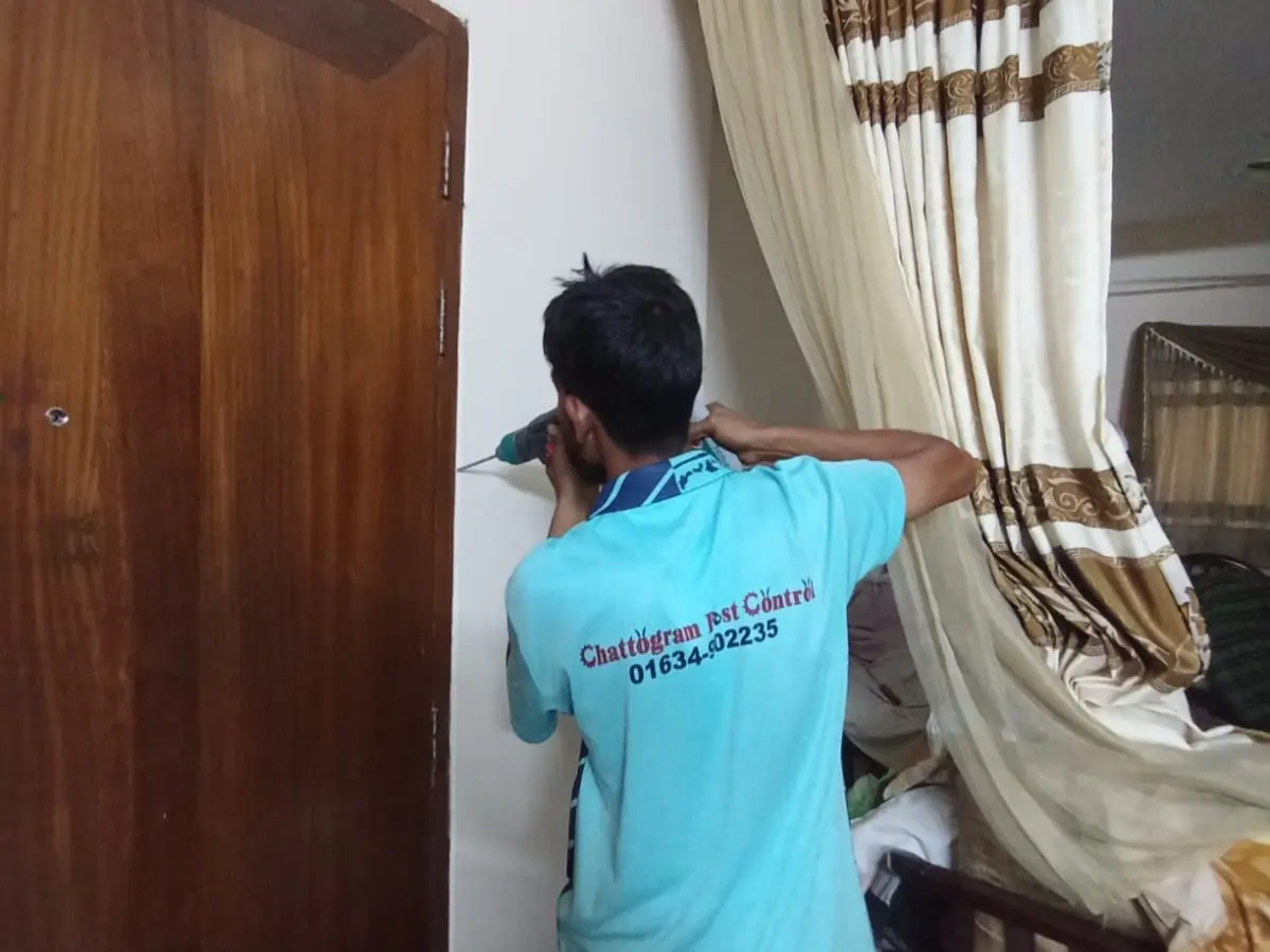 Termite control service at Andorkillaha, Chattogram