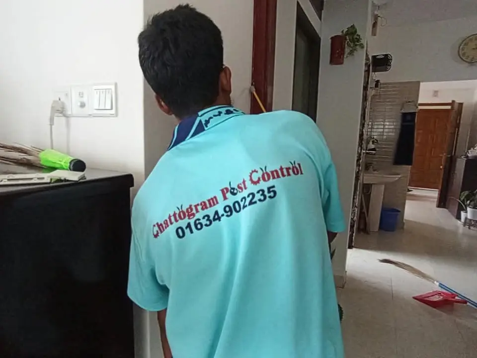 Termite control service at Askardighi, Chattogram