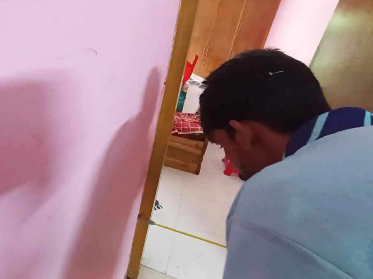 Termite control Service at Home, Khulshi, chatttogram