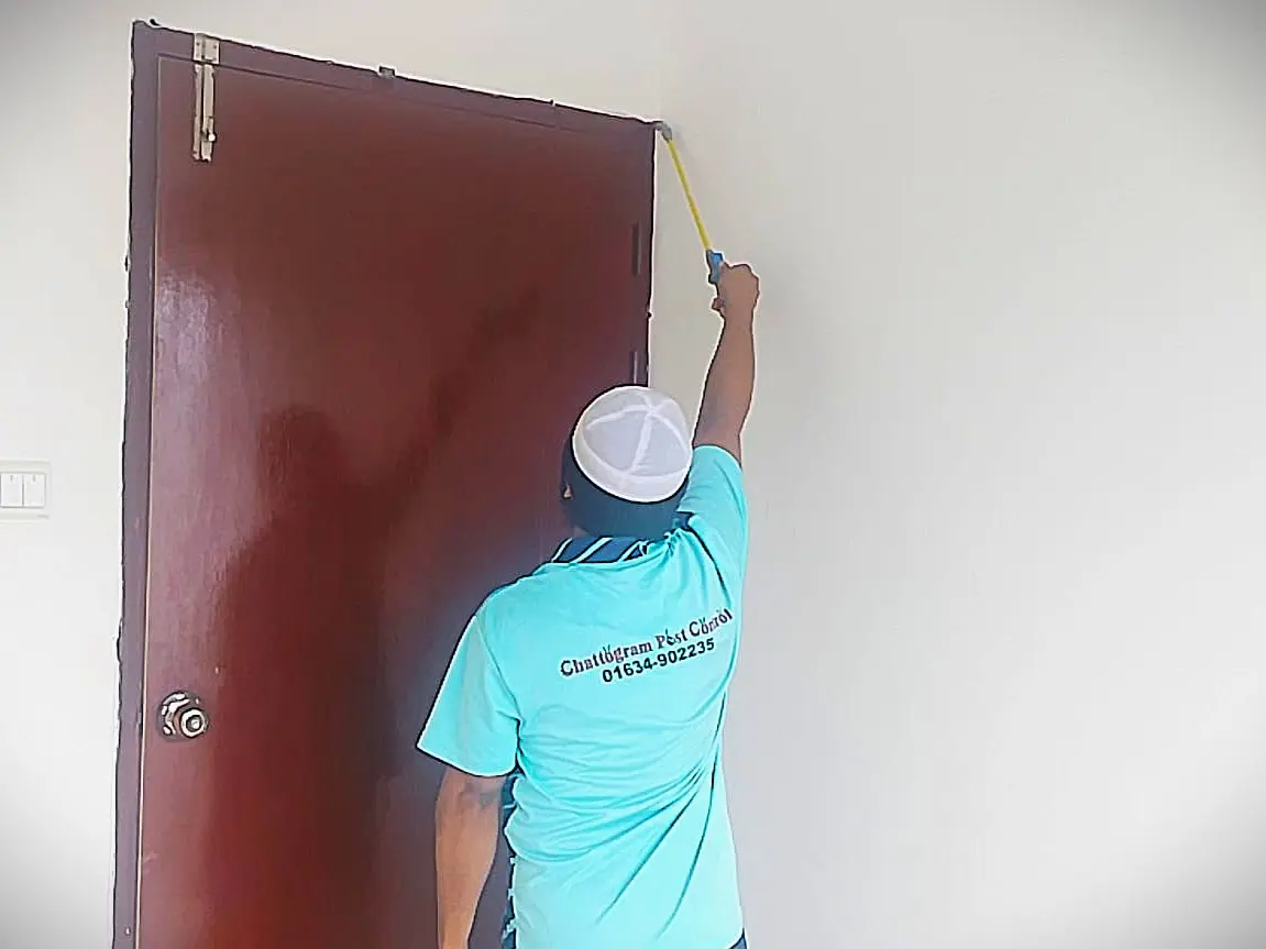 Termite control service at jamalkhan, chattogram