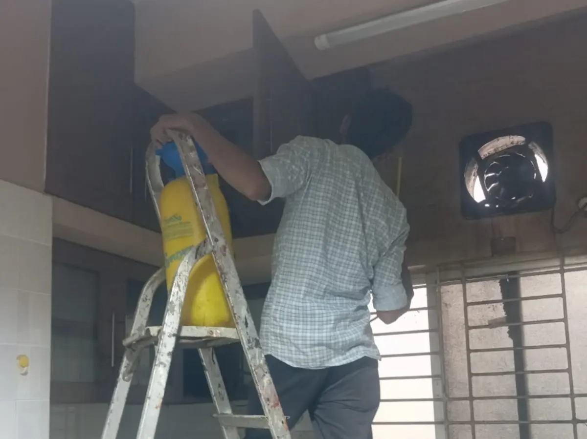 Termite Control Service at Kalurghat, Chattogram