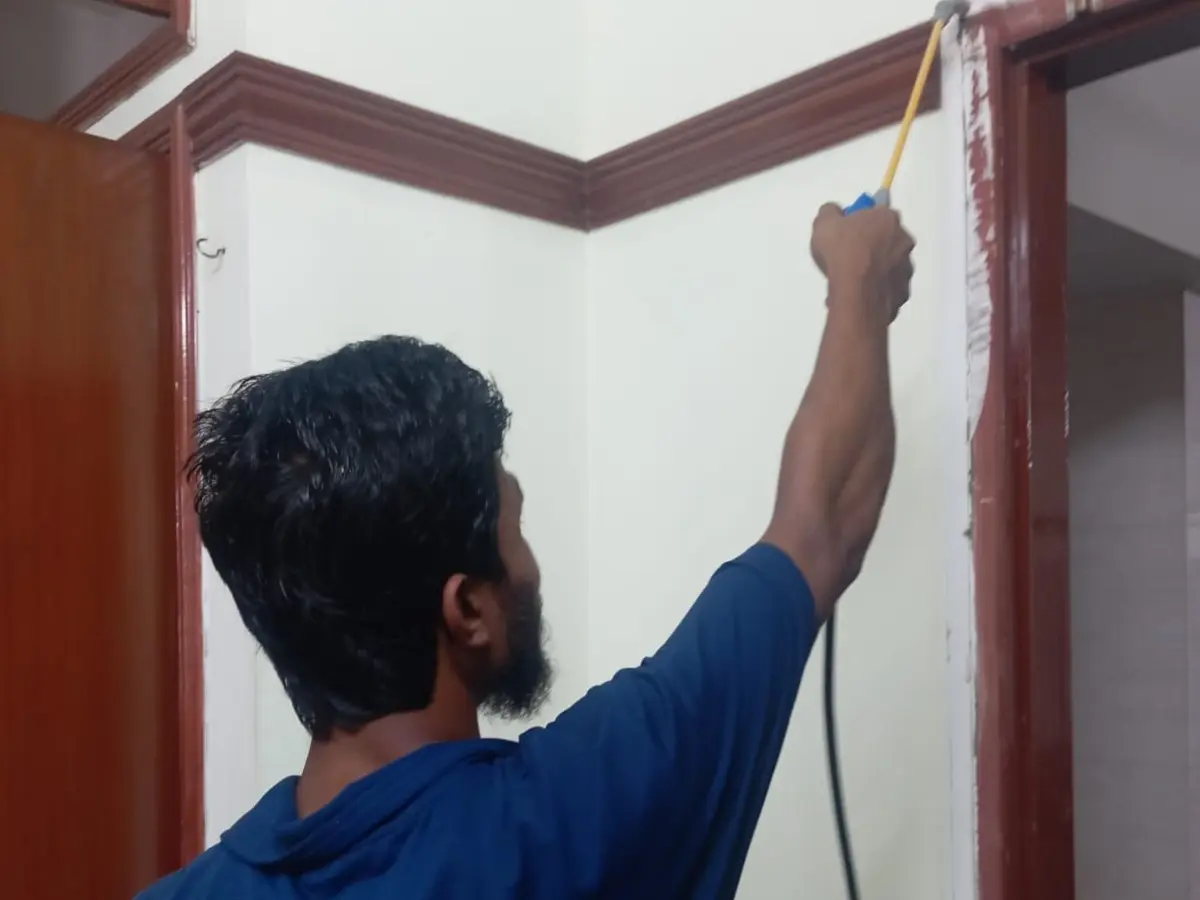 Termite control service at khulshi, chattogram