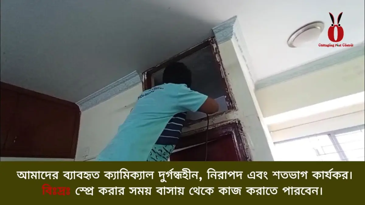 Termite control service at Khulshi Tower, Chattogram