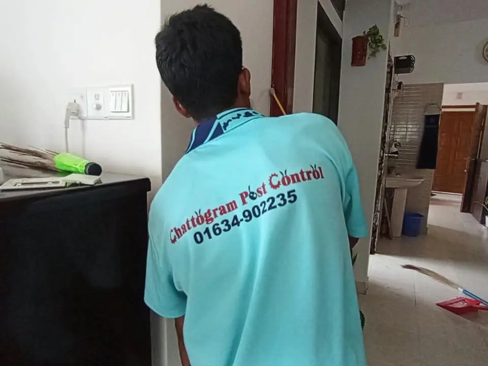 Termite control service at Rumaghata Chattogram