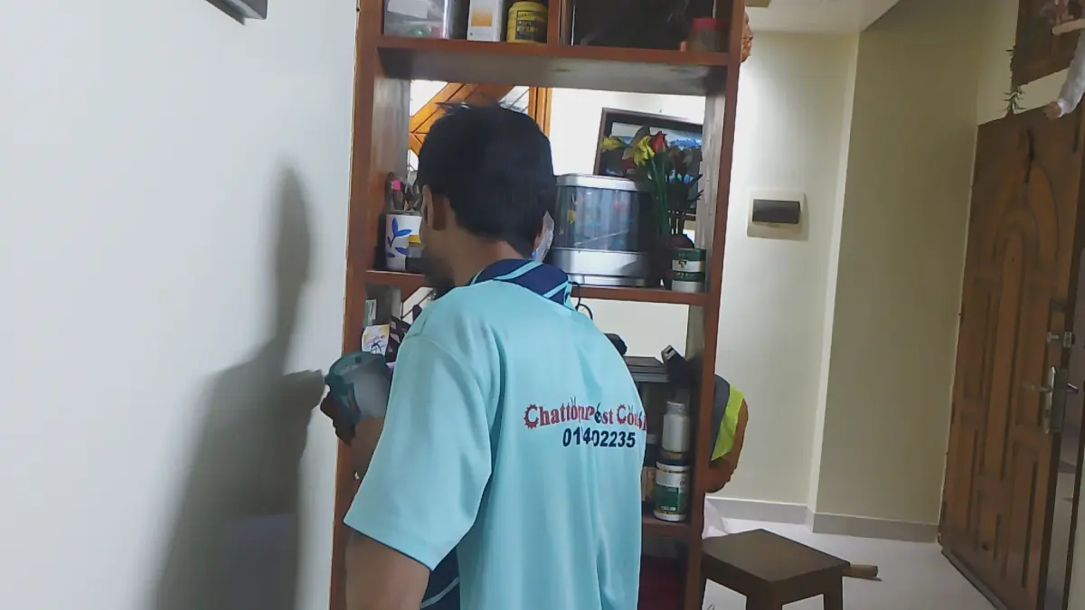 Termite Control Service Completed at Chandanpura Mazar Goli with 5 Years Warranty. চন্দনপুরা মাজার গলিতে ৫ বছরের গ্যারান্টিসহ উইপোকা নিয়ন্ত্রণের কাজ সম্পন্ন করলাম