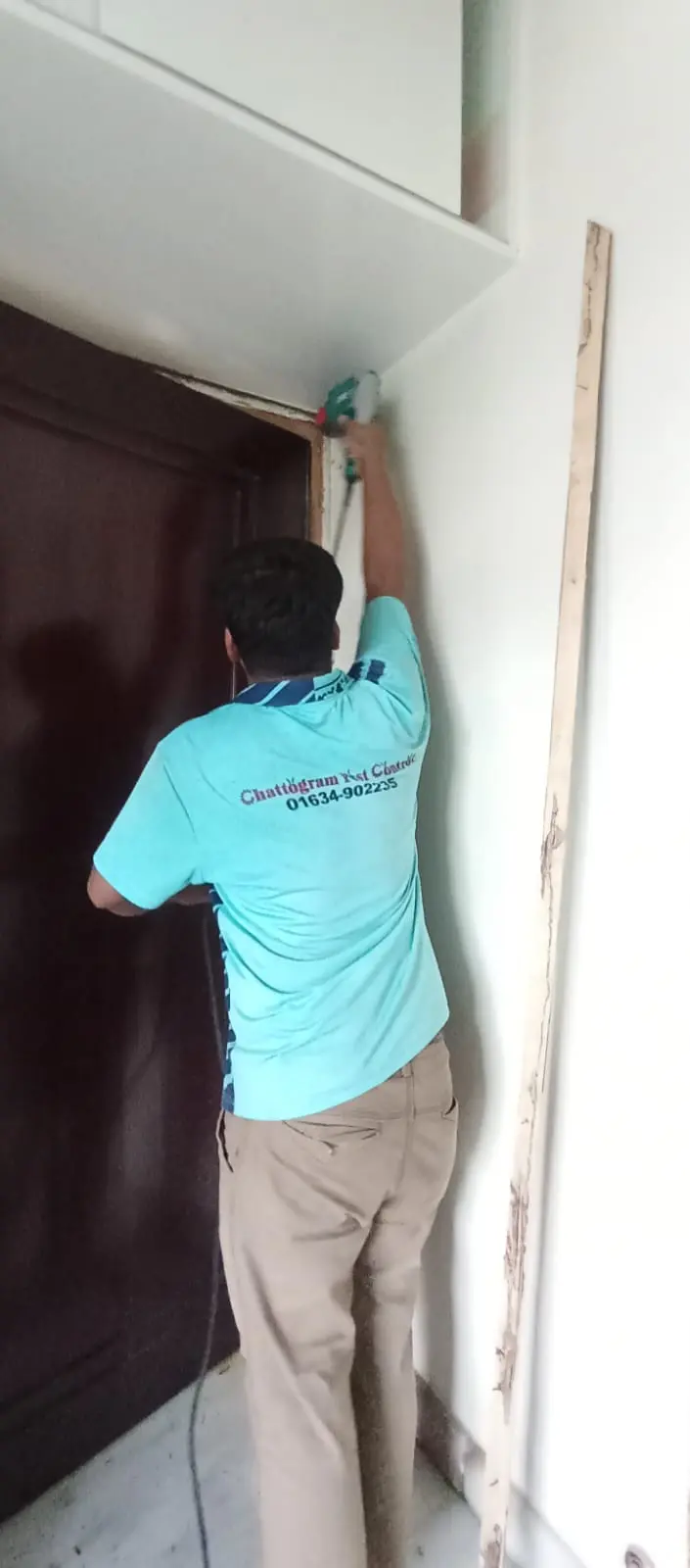 Termite control service with 5 years guarantee